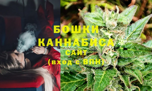 стафф Богданович